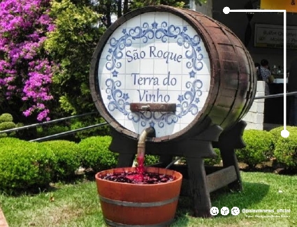 Rota do vinho: Turismo e gastronomia a uma hora de São Paulo